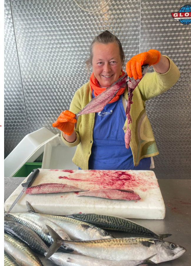 Vores fiskehandler viser dagens friske makrel frem i butikken