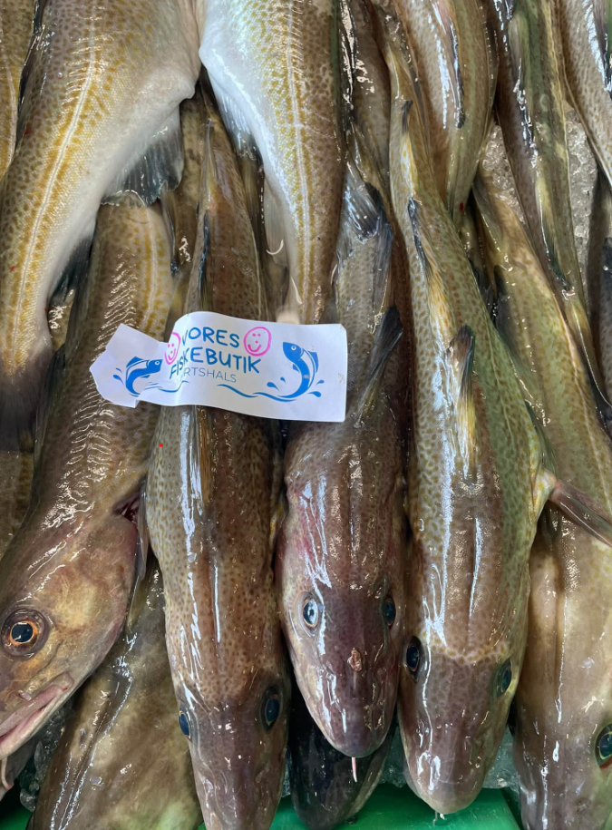 Dagens friske torsk med Vores Fiskebutik-mærke